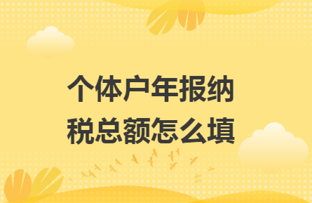 個體戶營業額填1萬可以嗎(個體戶年報資金數額怎么填寫)