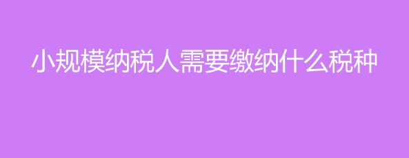 小規模納稅人要交什么稅